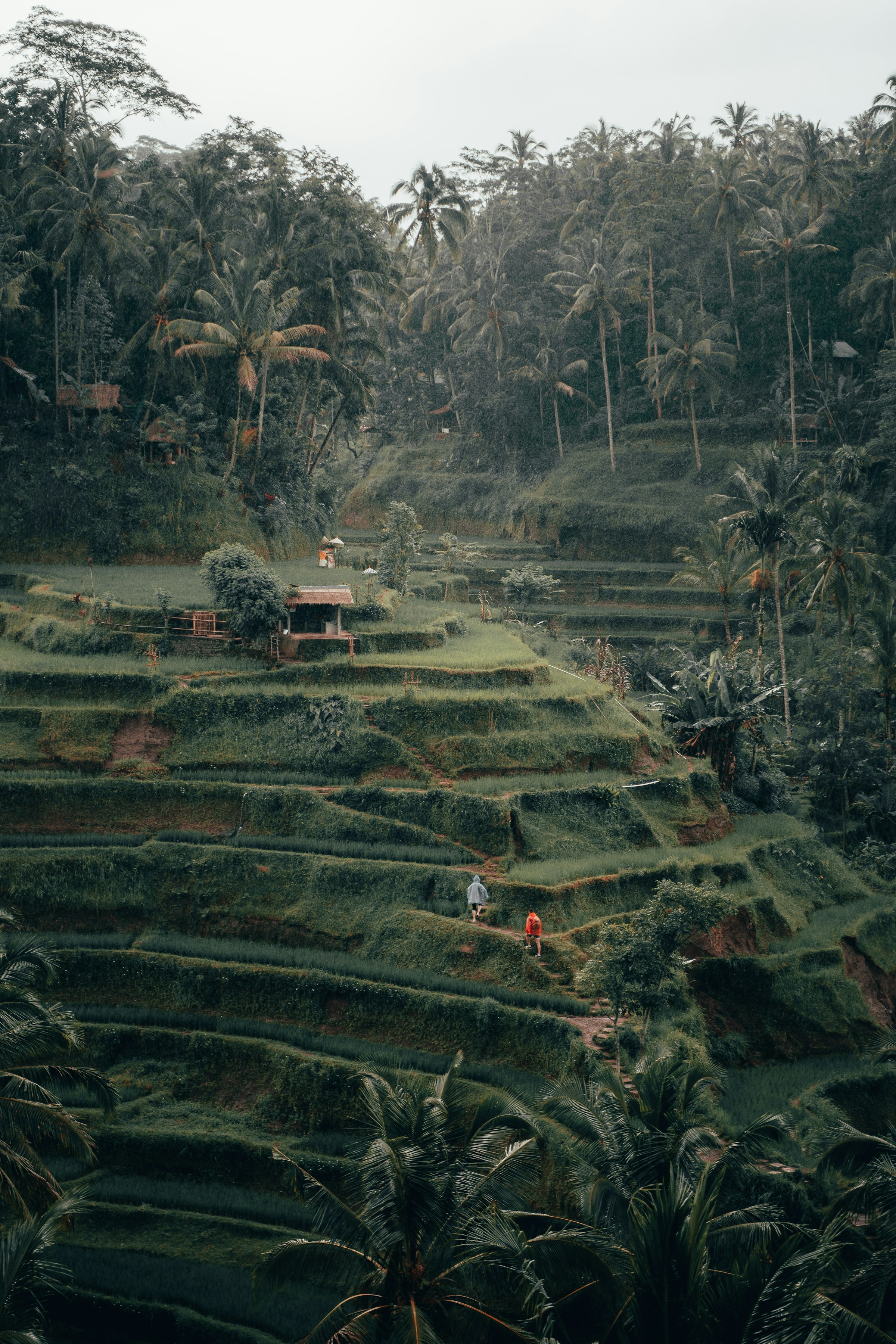 Romantic Bali Escape